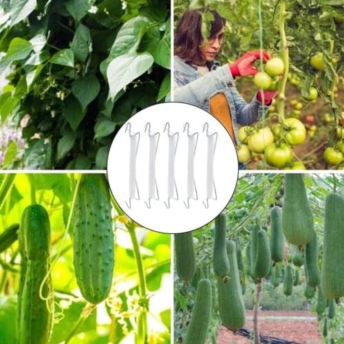 1Pcs Tomato Support Hook Zucchini Support Shelf Support Hook Gardening Supplies