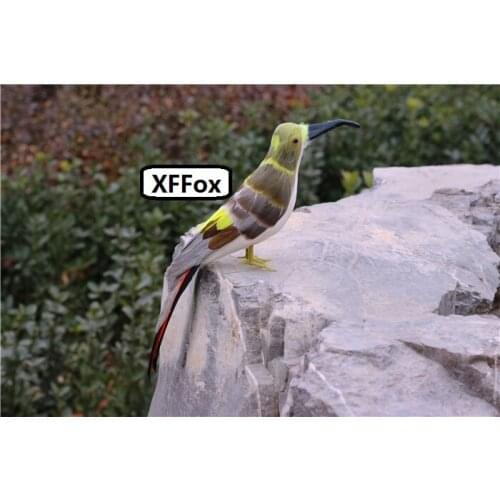 New creative simulation bird model foam&furs real life colourful bird doll gift about 30cm xf2616