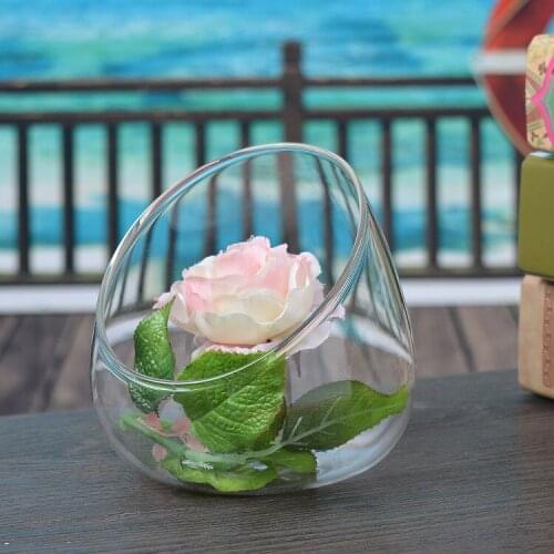 1PC 2 size Oblique mouth glass bottle moss fleshy micro landscape ecological micro landscape bottle glass vase crafts JY 1187