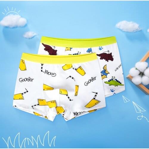 2 Pcs/lot Soft Cotton Kids Underwear Animal Pattern Teenager Underpants Childrens Boys Shorts briefs Baby Panties for 2-16y