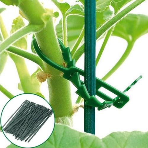 Adjustable 50pcs Plastic Plant Cable Ties Reusable Cable Ties for Garden Tree Climbing Support Garden plant Tying Tool