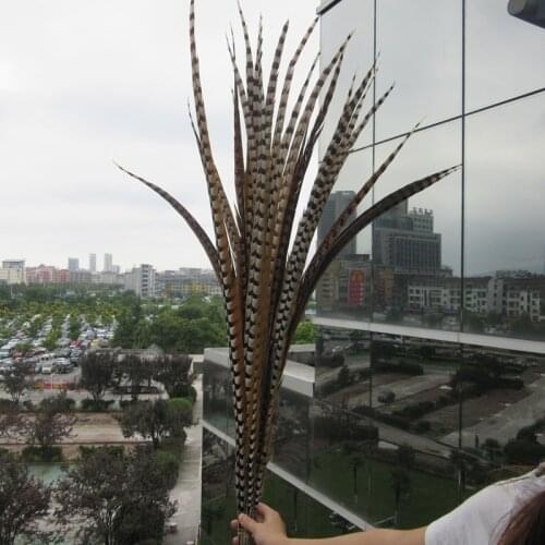 Wholesale 50Pcs/Lot 100-110CM Natural Rare Reeves Pheasant Tail Feathers High Quality Wedding Decorations Pheasant Feather plume