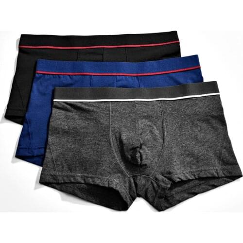 Brand Shorts Man Boxer Male Panties Cotton Boxers Panties Comfortable Breathable Mens Panties Underwear Trunk