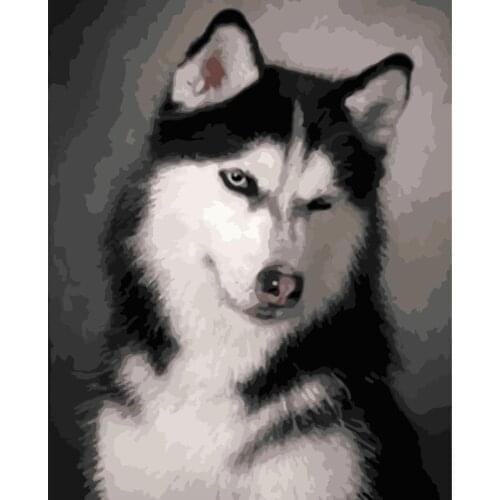 Cute husky dog Animal DIY Digital Painting By Numbers Modern Wall Art Oil Painting Holiday Gift Home DecorBig Size