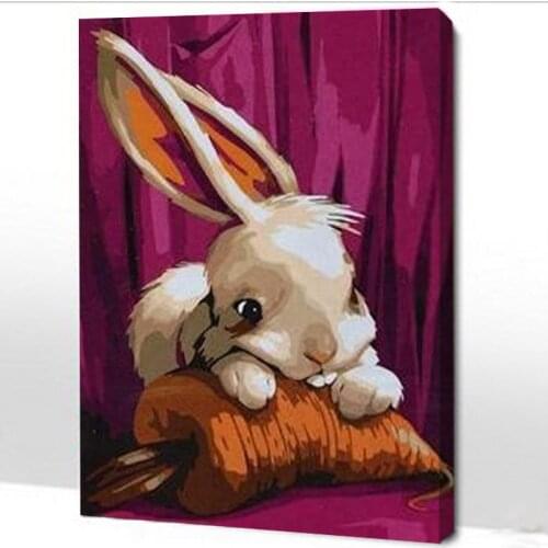 Baby rabbit Framed 16x20inch Pictures Paint By Numbers DIY Digital Oil Painting On Canvas 40x50cm