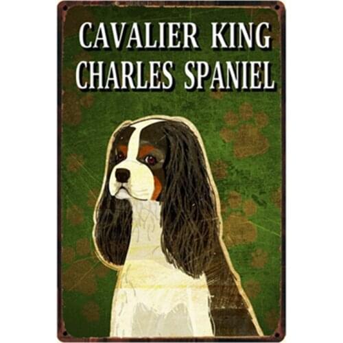 [ Kelly66 ] Dogs Cavalier King Charles Spaniel Metal Sign Tin Poster Home Decor Bar Wall Art Painting 20*30 CM Size y-2212