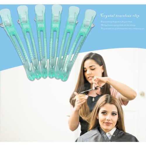 Hairstyle Salon DIY Hair Styling Tool Hair Clips 6pcs Professional Salon Stainless Clamp Hair Styling Tool Accessories