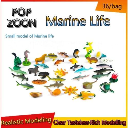 Great White Shark,Whale Marine Life Series Simulation Animal Model, PVC Early Education Learning Children Growing Bath Toys