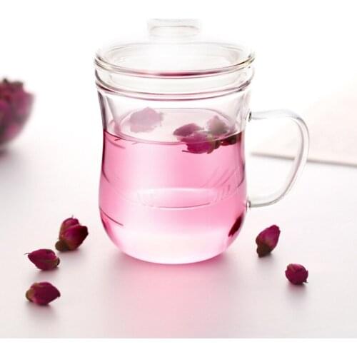 Handmade Glass Cup with Tea Filter Simple Morning Mugs GlassTeapot 350 ml