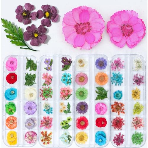 12 Color Nail Art Nature Dry Flowers Set Gel Polish Tip 3D DIY Floral Slices Decal Pro Manicure Pedicure Decor Newest Kit SAFL/F