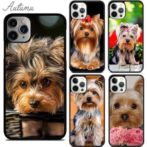Yorkshire Terrier Dog Phone Case for iPhone 11 12 Pro Max mini X XR XS SE 2020 5 6 7 8 Plus Samsung Galaxy S8 S9 S10 Cover shell