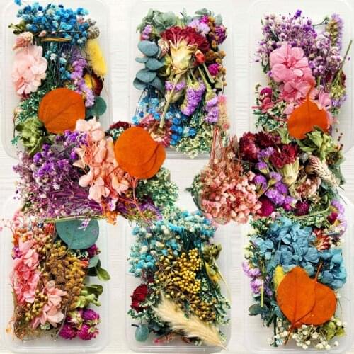 1 Box Dried Flower For Resin Jewelery Natural Dry Dry Plants For Aromatherapy Candle Epoxy Resin Pendant Necklace Jewelry Making