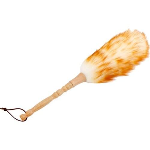 DFGHGF Dust Brushes