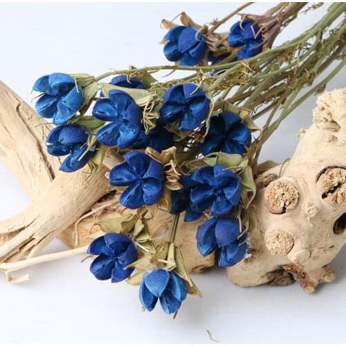 Star Anise Pistachio Props Home Decoration Accessories Yunnan Shell Dried Flower Hand Made Flower Flores Diy Mothers Day