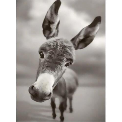 DIY Animal donkey Painting By Numbers Wooden Frame 40x50cm Combination Unique Gift Wall Art Picture Artworks Home Decor