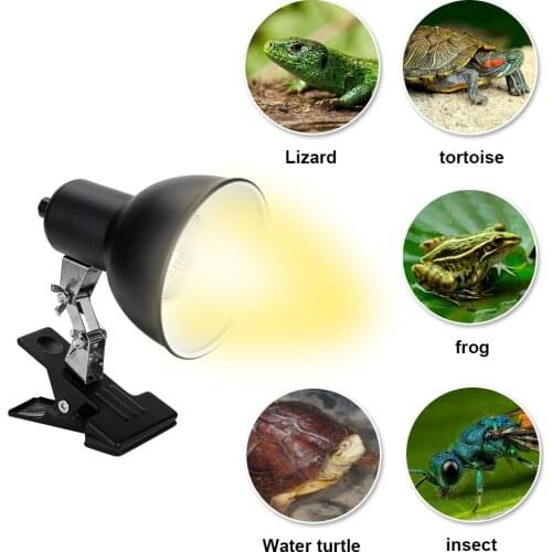 Multi-Angle Adjusted Freely Amphibians Lighting For Reptiles Turtles Lizards Temperature Crawling Pet Heating Lamp 25/50/75W