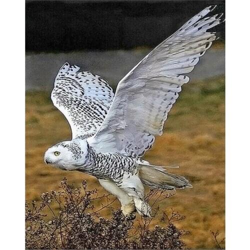 Landscape full diamond painting white owl rhinestone embroidery bird mosaic sticker decor diamond dots posters wall papers gift