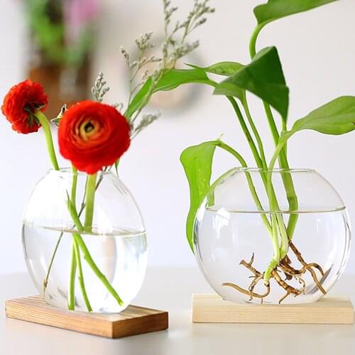 Hydroponics Plants Vases Dry Flower Vase Flower Pot Nordic Creative Living Room Table Decoration Transparent Glass Vases