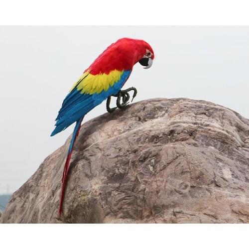 Real life toy bird colourful feathers parrot, large 48cm parrot bird garden decoration prop toy gift h1887