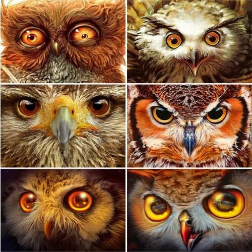 EverShine Diamond Painting Owl Cross Stitch Diamond Mosaic Animal Picture Of Rhinestones Embroidery Full Dill Square Home Decor