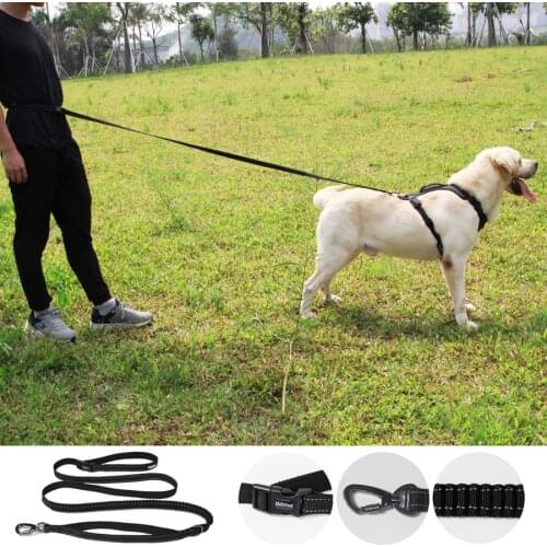 Dog Leash for Medium and Large Dogs Professional Harness with Reflective Stitches for Training, Walking, and Running Your Pet