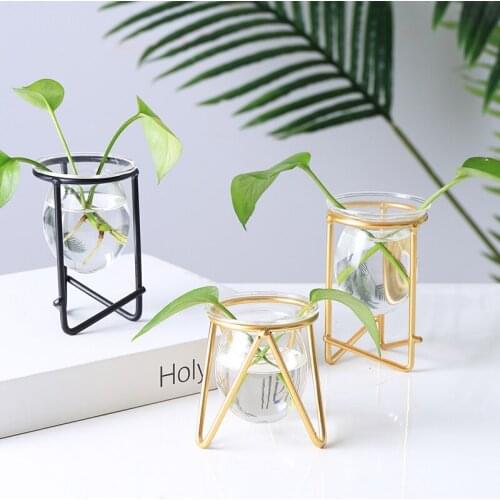 Nordic Room Decoration Tie Art Hydroponic Glass Transparent Floret Water Plant Pot Web Celebrity Table Ornaments Small Ornaments