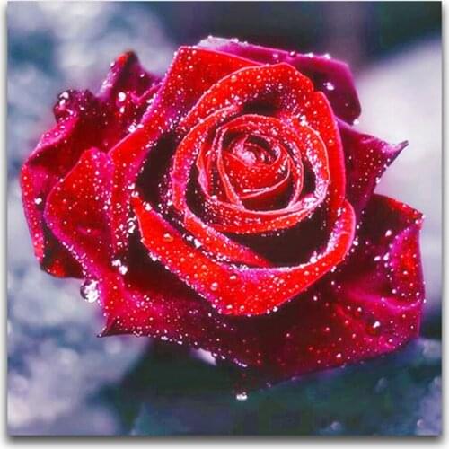 Colored Flowers DIY 11CT Cross Stitch Embroidery Kits Craft Needlework Set Cotton Thread Printed Canvas Home Dropshipping