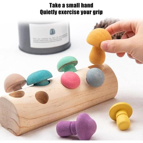 Wooden Rainbow Blocks Mushroom Picking Game Montessori Educational Wooden Baby Toys Developmental Shape Matching Assembly Grasp