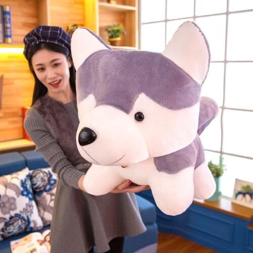 Zqswkl 25-70cm cute dog plush toy soft anime plush doll girls pillow hugs birthday gift animal stuffed toys children toys