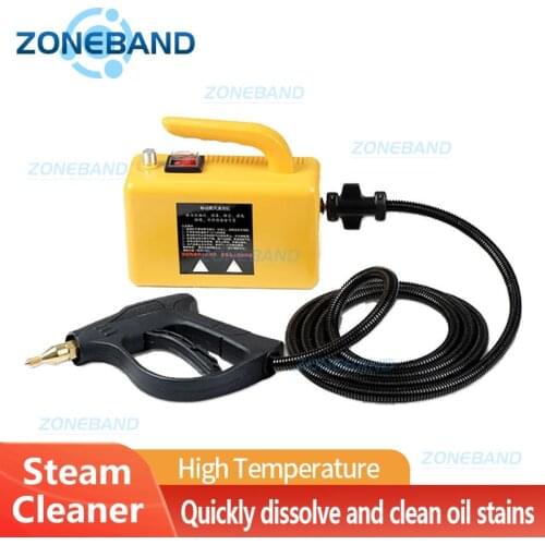 High Pressure Steam Cleaner High Temperature Vacuum Steam Generator for Home Floor Kitchen Cleaning Machine Car Washer