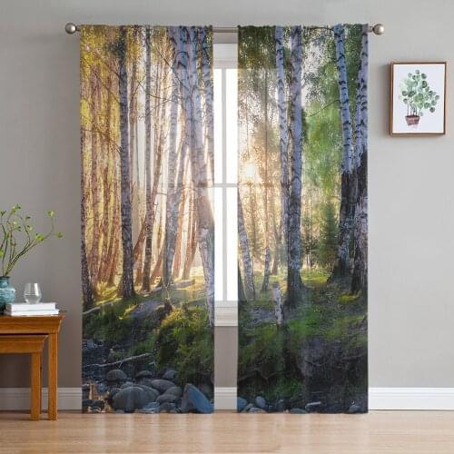Birch Forest Woods Early Morning Sheer Curtains for Living Room Kitchen Tulle for Windows Voile Yarn Curtains for Bedroom