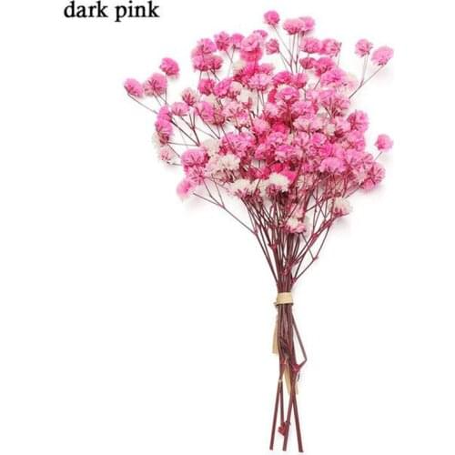 Colorful Dried Flowers Small Natural Dried Floral Plants Mini Real Bouquets Home Decoration Photography Props Art Craft EF