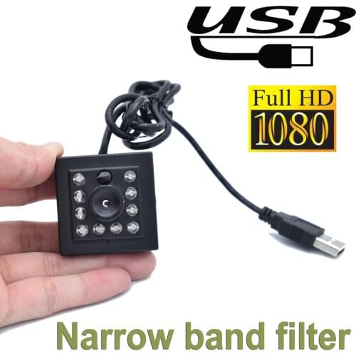 1080P High Fps 30Fps 120Fps CCTV Security Usb 2.0 UVC Mini Infrared USB Camera Night Vision 850nm Narrow Band Filter Intravenous