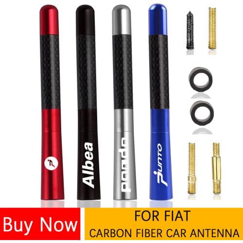 Car Antenna For Fiat Albea ARGO BRAVO DOBLO PANDA PUNTO SEDICI STILO TIPO TORO Siena Auto Carbon Fiber Radio Aerial Accessories