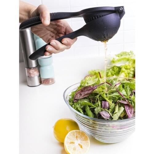 Real Casting Fresh Juice Extractor with Strainer Separates Seeds Suitable for Dishwasher Wash Quality Lemon Juicer