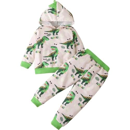 Toddler Kids Boys Dinosaur Printed Outfits Sets, Hooded Long Sleeve Pattern Sweatshirt + Match Long Pant Cartoon Outfits