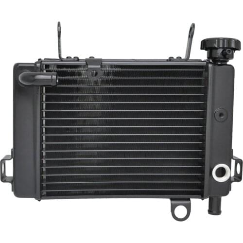 For Honda CBR125 2003 2004 2005 2006 2007 2008 2009 CBR 125 03-09 Motorcycle Aluminium Cooling Radiator Moto