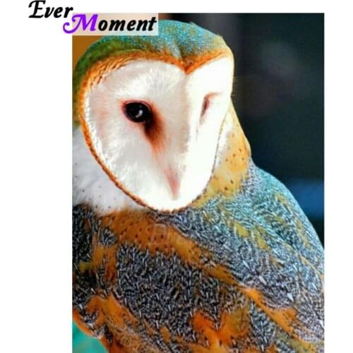 Ever Moment Diamond Painting Owl Picture Of Rhinestone Handmade Full Square Drill Diamond Embroidery Home Decoration ASF1400