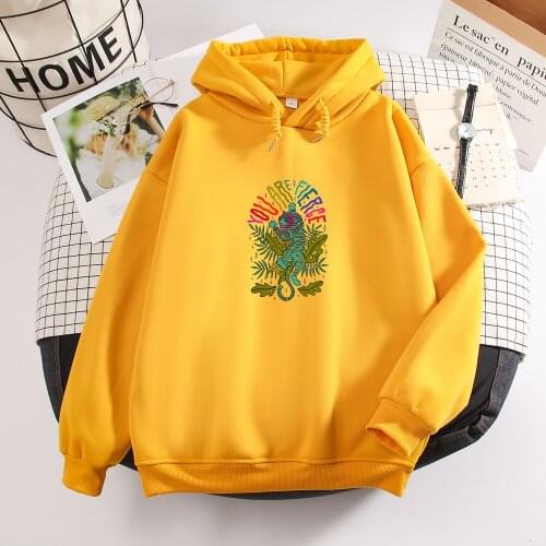 Retro Sweatshirt Women Harajuku Hoody Sweathshirts Animal Print Jacket Women Men Streetwear Punk Grunge Clothes Unisex Loose