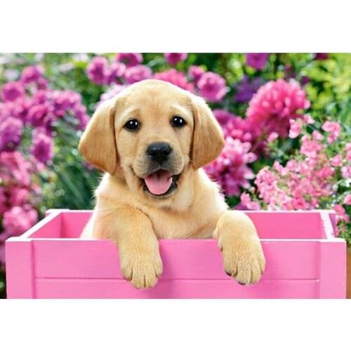 5D DIY Square/Round Diamond Painting"Glowing pigeons"Diamond Embroidery Cross Stitch Rhinestone Mosaic Painting Home Decor L731