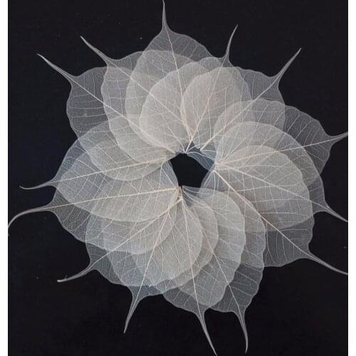 100pcs Pressed Dried Natural Peepul Bo-tree Vein Leaf For Home Mural Drawing Postcard Bookmark Phone Case Invitation Card