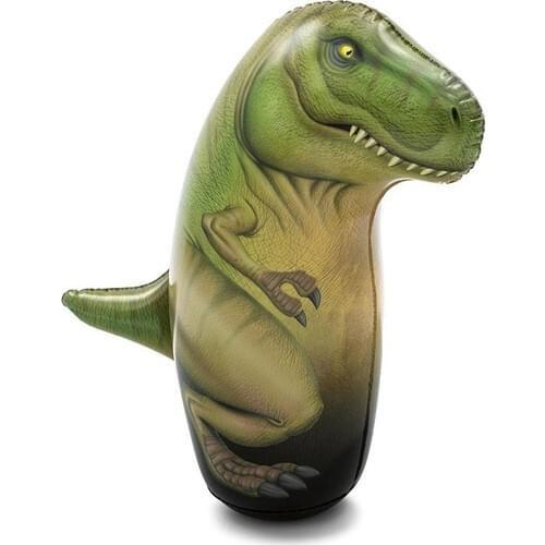 Pucon Inflatable Trampolines