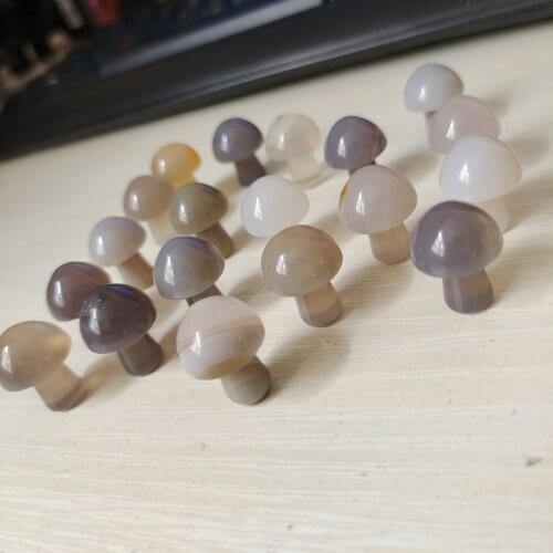 5pcs 20mm Natural agate quartz mushroom blossom agate crystal buttom mushroom healing