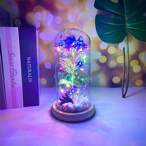 Mother Day Present Dried Flowers The Beauty And Beast Eternal Real Rose Home Decor With LED in Glass Dome Valentine Christmas We
