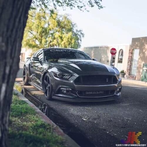 Suitable for 15 17 Ford Mustang Refit Savigny Carbon Fiber Front Small Bag Around the Spoiler Lower Lip