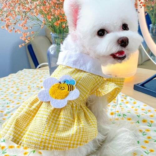 Summer Thin Princess Dog Teddy Bichon Schnauzer Pomeranian Yorkshire Small Dog Clothing New Cat Dog Clothes Girl Dresses