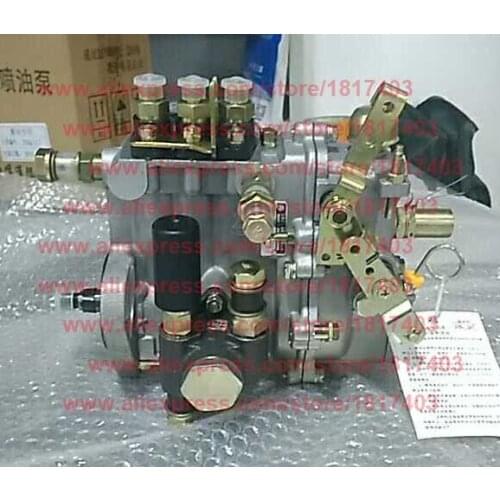 Injection pump of Laidong KAMA 3L16CR engine