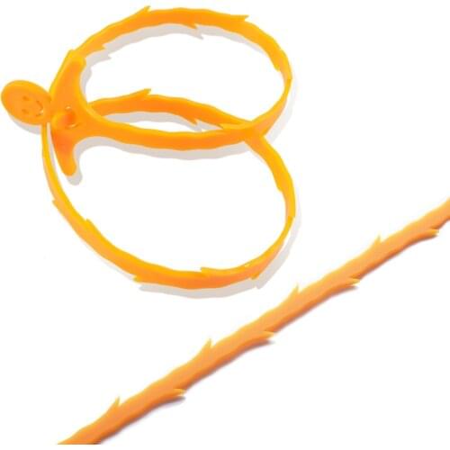 LoledeCake Cleaning Brushes