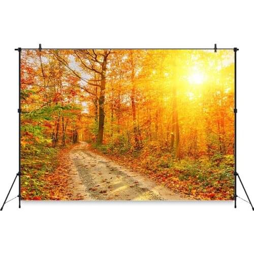 Neoback Autumn Photographic Background Forest Scenery Fall Leaf Road Banner Decoration Photography Backdrops Studio Shoots