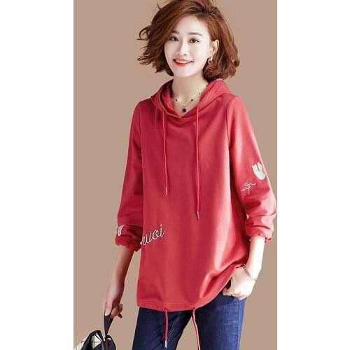 Spring Autumn Hoodies Women Sweatshirts Harajuku Hooded Embroidery Hoodie Spring Ladies Hoody Streetwear RR0109
